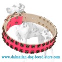 'Cosmo Lady' Dalmatian Dog Collar