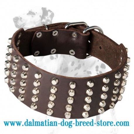 Extra Wide Dalmatian Dog Collar with 5 Rows of Studs