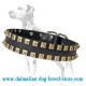 'Gift from Egypt' Dalmatian Dog Collar