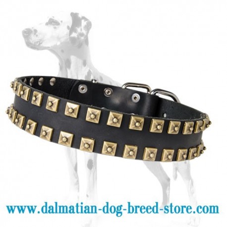 'Gift from Egypt' Dalmatian Dog Collar