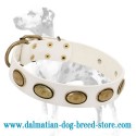 'Vintage Gem' Dalmatian Dog Collar