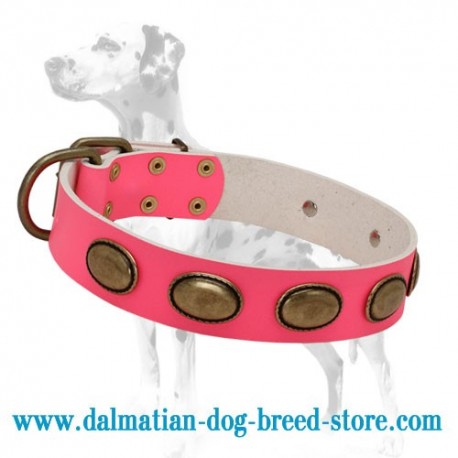 'Eccentric Style' Dalmatian Dog Collar