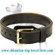 Wear-and-tear resistant 2 ply leather agitation dog collar with handle for Dalmatian