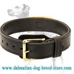 Wear-and-tear resistant 2 ply leather agitation dog collar with handle for Dalmatian