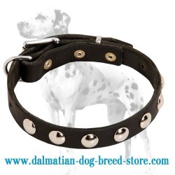 'Nickel Circles' Dalmatian Dog Collar