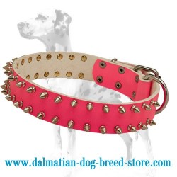 'Pink Rose' Dalmatian Dog Collar