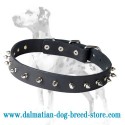 'Bow-Wow' Dalmatian Leather Dog Collar