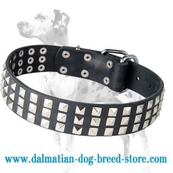 'Premium Finery' Dalmatian Dog Collar