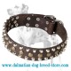 'Bump & Bits' Dalmatian Dog Collar