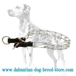 Dalmatian Dog Chrome Plated Solid Pinch Collar