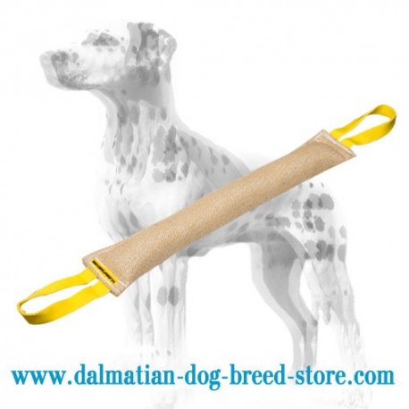 Strong Dalmatian Bite Tug Made of Jute