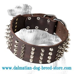 'Cool Novelty' Dalmatian Dog Collar