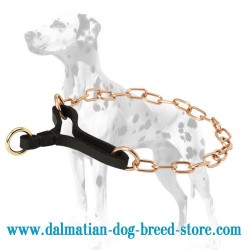 Dalmatian Curogan Martingale Choke Collar