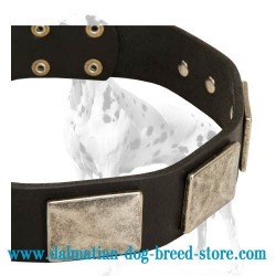 Fancy Leather Dalmatian Dog Collar with Vintage Plates