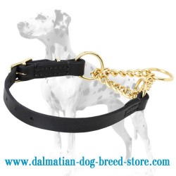 Dalmatian Martingale Choke Dog Collar