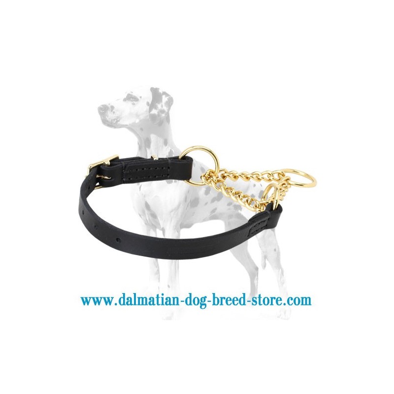 the dog collar store