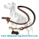 Extra Strong Dalmatian Dog Leash with Leather Stopper
