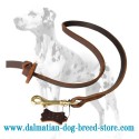 Extra Strong Dalmatian Dog Leash with Leather Stopper