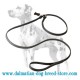 High-class Dalmatian Dog Leash / Choke Collar