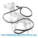 High-class Dalmatian Dog Leash / Choke Collar