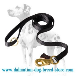 Extra Durable Dalmatian Dog Leash of Nylon