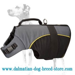 Dalmatian Must-Have Harness Perfect for Winter and Dog Rehabilitation