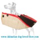 Strong & Safe Dalmatian Dog Training Sleeve