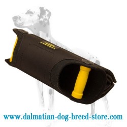 Young Dalmatian Training Dog Bite Builder with Adjustable Bite Angle