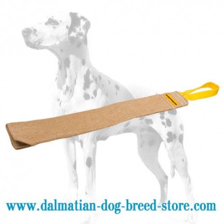 Dalmatian Training Bite Rag of Extra Strong Jute