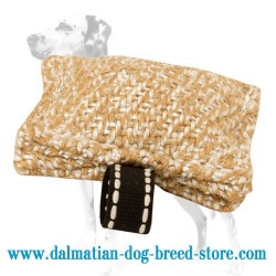 Pocket-Sized Dalmatian Dog Bite Tug for Basic Training