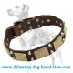 Dalmatian Leather Dog Collar with Massive Brass Plates and Nickel Pyramids