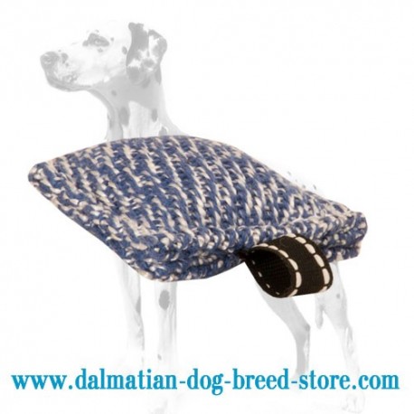 Tiny-Sized Dalmatian Training Dog Bite Tug of French Linen