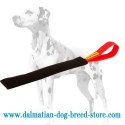 Dalmatian Puppy Bite Training Tug of French Linen