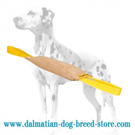 'Quick Grip' Dalmatian Training Dog Bite Tug of Leather