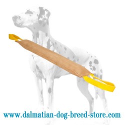 Extra Large Dalmatian Training Dog Bite Tug of Leather