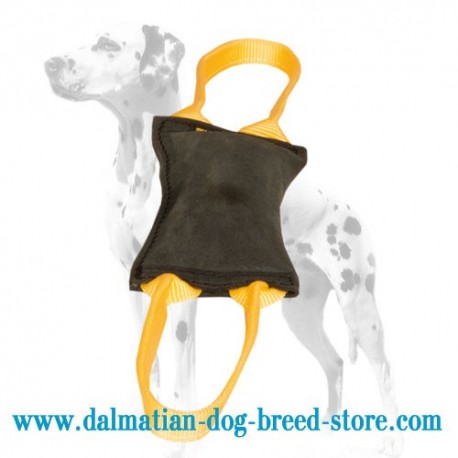 'Firm Bite' Dalmatian Training Dog Bite Tug of Leather