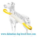 Long-Servicing Dalmatian Training Dog Bite Tug of Fire Hose