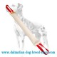 Easy-to-Use Dalmatian Training Dog Bite Tug of Extra-Strong Fire Hose