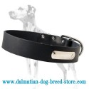Multipurpose leather dog collar with id tag for Dalmatian breed