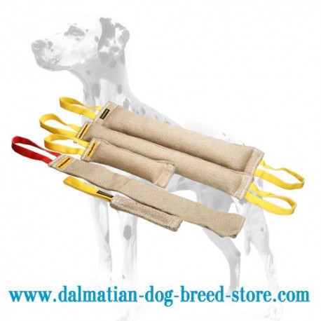 Dalmatian Dog Bite Training Set of Jute Tugs