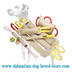 Dalmatian Training Set of Jute Bite Tugs + 3 Amazing Gifts