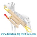 Dalmatian Training Dog Jute Bite Tugs in 1 Set