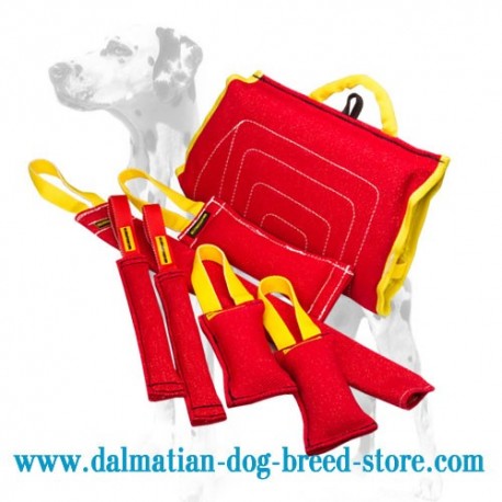 Amazing Dalmatian Puppy Training Set of 7 Items