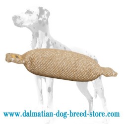 Jute Dalmatian Training Dog Bite Tug without Handles