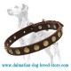 Leather Special Dog Collar with Brass Circles for Dalmatian breed