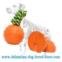 Dalmatian Dog Ball of Solid Rubber with Nylon String