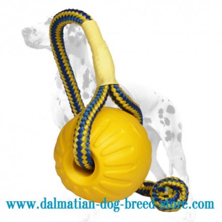 'Go Get It' Dalmatian Dog Foam Ball with String