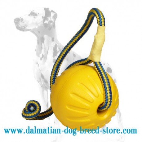 'High Fly' Dalmatian Dog Ball of Foam Rubber