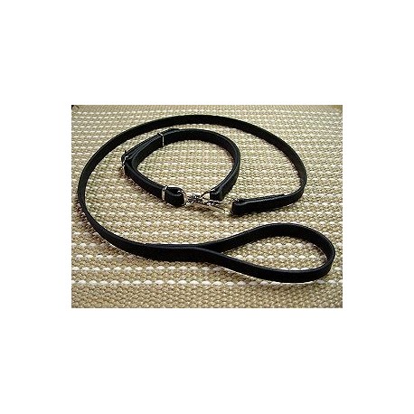 Police / hunting" dog leash and  collar (combo)