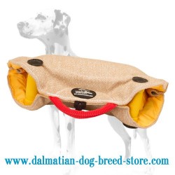 Dalmatian Young Dog Training Jute Grip Builder